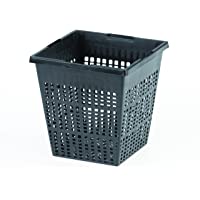Oase 53754 - Cesta de Plantas Cuadrada 11